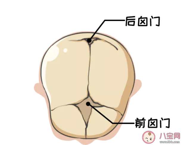 寶寶前囟門很小會(huì)影響大腦發(fā)育嗎 前囟門很小嚴(yán)重嗎