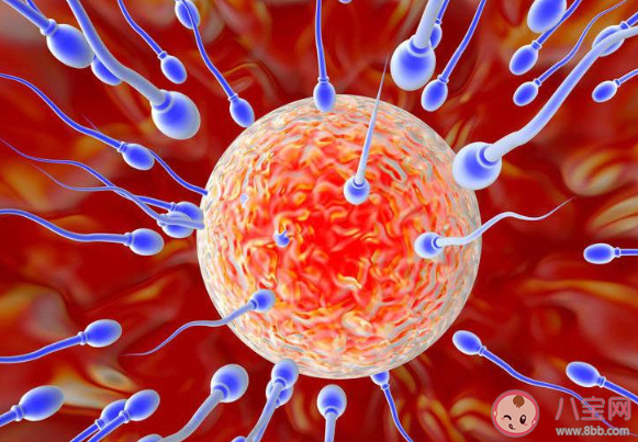 精子在體外會導致懷孕嗎 女性體外懷孕的幾率大嗎 精子在體外會導致懷孕嗎 女性體外懷孕的幾率大嗎