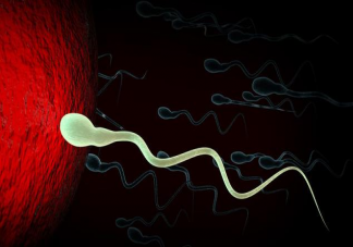 什么樣的夫妻適合人工授精 人工授精的孩子正常嗎