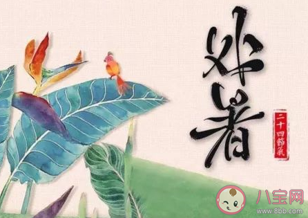 處暑節氣代表著什么含義什么講究 處暑節氣有什么寓意