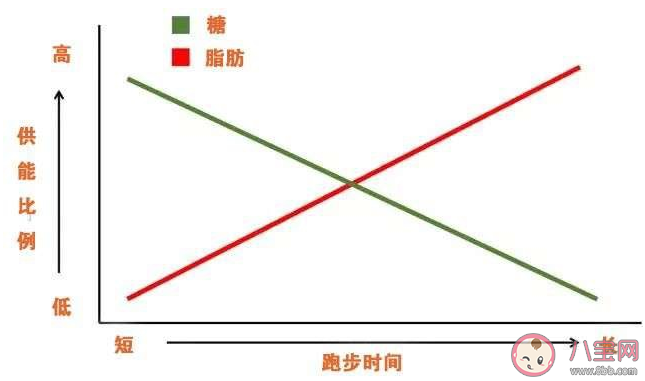 晚上跑步真的能瘦身減肥嗎 晚上跑步注意要點