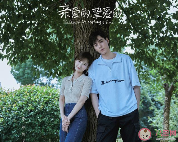 《親愛的摯愛的》是根據什么小說改編的 親愛的摯愛的原著小說是什么