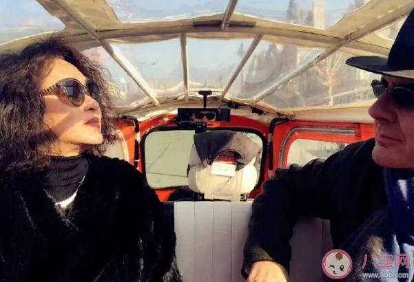 金星稱乘風破浪的姐姐不敢來請她是怎么回事 金星是什么樣的性格