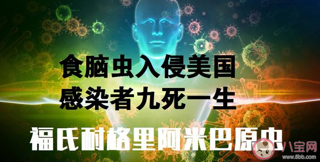 食腦蟲是什么 食腦蟲生長在什么地方 食腦蟲是什么 食腦蟲生長在什么地方