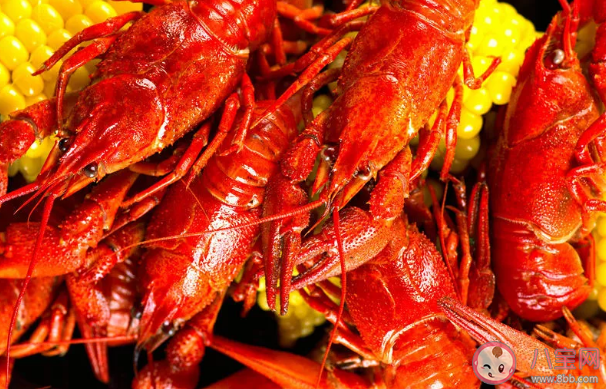 吃了小龍蝦過敏了怎樣做可以消癢 吃了小龍蝦過敏了怎么辦