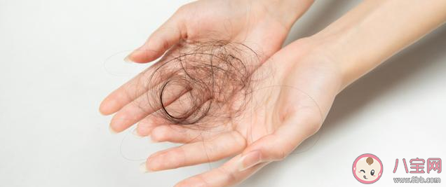 為什么生完孩子脫發(fā)嚴(yán)重 產(chǎn)后脫發(fā)現(xiàn)象會持續(xù)多久