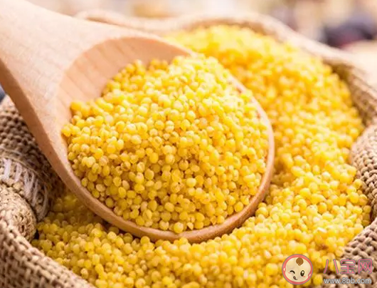 使用花露水釣魚什么季節(jié)效果好 花露水為什么能誘魚