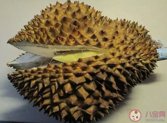 沒有熟的榴蓮用什么方法可以催熟快 榴蓮催熟需要幾天 沒有熟的榴蓮用什么方法可以催熟快 榴蓮催熟需要幾天