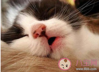 人很累心也累的疲憊說說句子 覺得人累心累的朋友圈感受說說 人很累心也累的疲憊說說句子 覺得人累心累的朋友圈感受說說