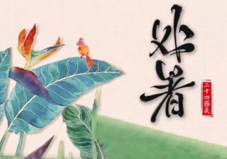 處暑節氣代表著什么含義什么講究 處暑節氣有什么寓意