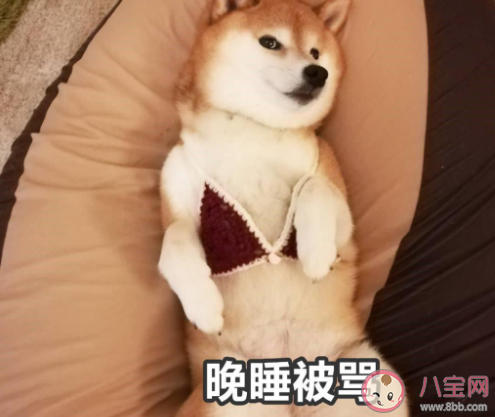 暑假在家被媽媽嫌棄的搞笑說說帶圖 放暑假了被媽媽嫌棄的朋友圈圖片說說