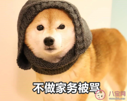 暑假在家被媽媽嫌棄的搞笑說說帶圖 放暑假了被媽媽嫌棄的朋友圈圖片說說