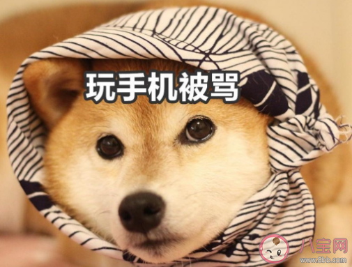 暑假在家被媽媽嫌棄的搞笑說說帶圖 放暑假了被媽媽嫌棄的朋友圈圖片說說