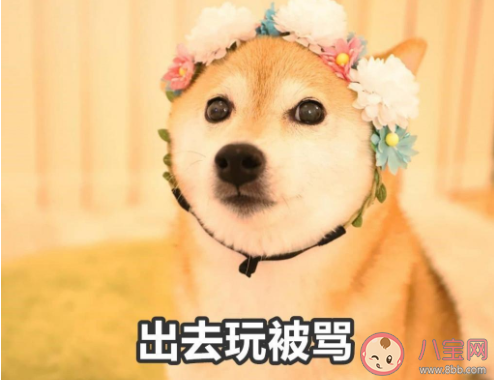 暑假在家被媽媽嫌棄的搞笑說說帶圖 放暑假了被媽媽嫌棄的朋友圈圖片說說