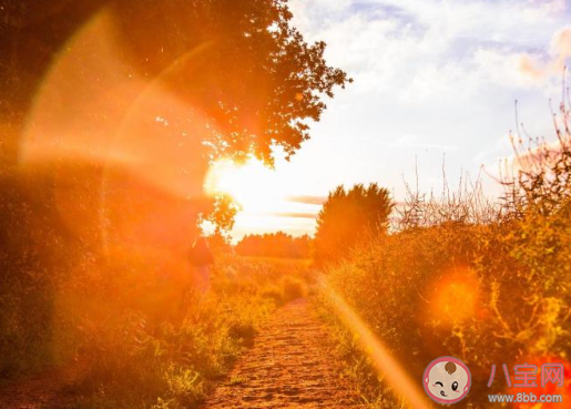 高考沒考好很失落的朋友圈怎么發 高考沒考好失落難過的朋友圈說說