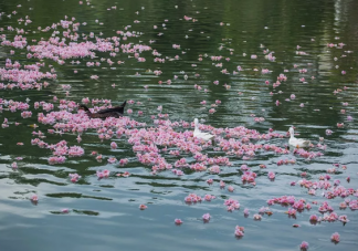 2020七月再見八月你好說說句子大全 六七月再見八月你好唯美語錄