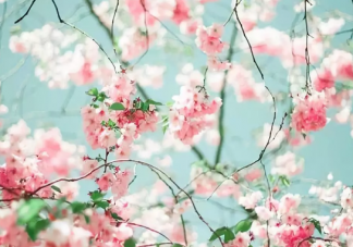 七月最后一天工作朋友圈說說 七月最后一天心情感言句子