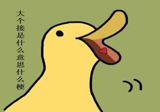 大個接是什么意思 大個接是什么梗