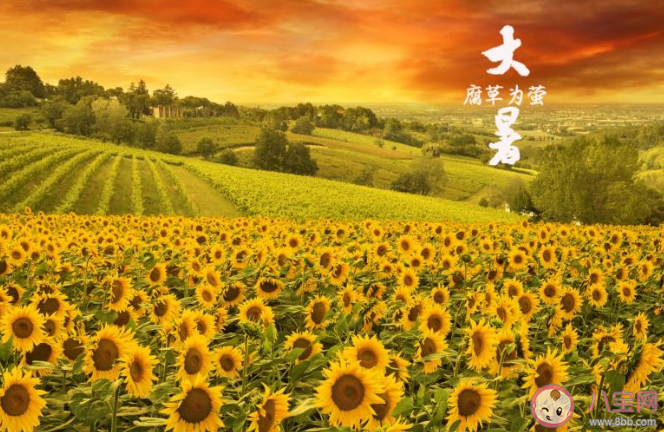 2020今日大暑節氣朋友圈一句話說說 2020今日大暑發朋友圈的心情文案句子