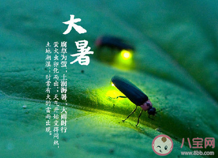 2020大暑節(jié)氣圖片朋友圈配文句子 2020大暑節(jié)氣的朋友圈圖片說說