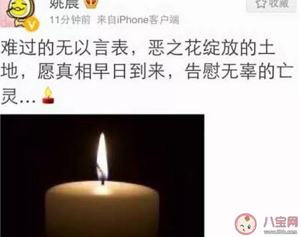 姚晨惡之花是什么意思什么梗 姚晨為什么被叫惡之花