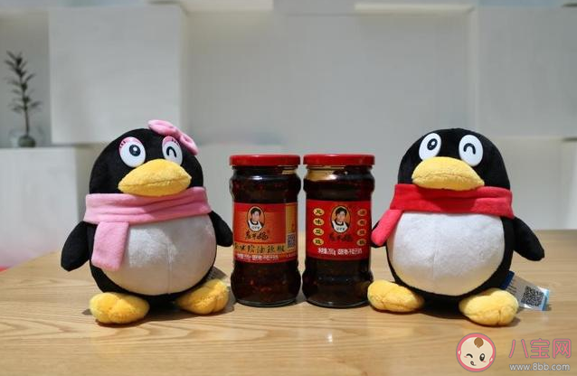 qq法院是什么意思 qq法院是什么梗