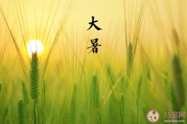 2020大暑早安心語圖片問候語句子 2020大暑節氣早安的說說祝福語