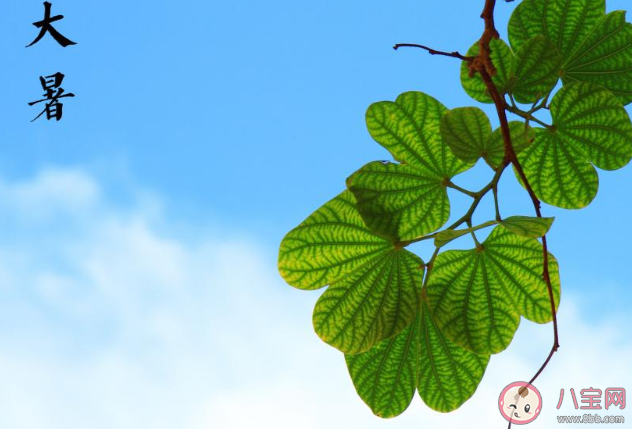 2020大暑早安心語圖片問候語句子 2020大暑節氣早安的說說祝福語