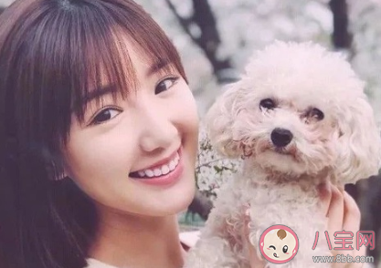 三十而已鐘曉芹結局是什么 鐘曉芹和陳嶼離婚了嗎