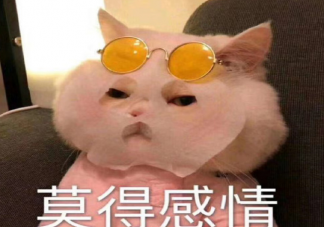 上班就犯困的幽默搞笑說說 一上班就想睡覺心情說說