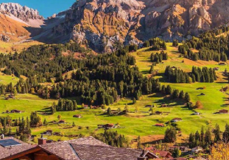 關于樹葉黃了經典說說 樹葉黃人心涼的傷感句子