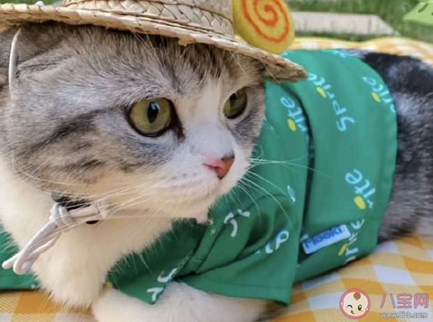 值得收藏的真實又扎心的句子大全 很真實很扎心的經典說說語錄