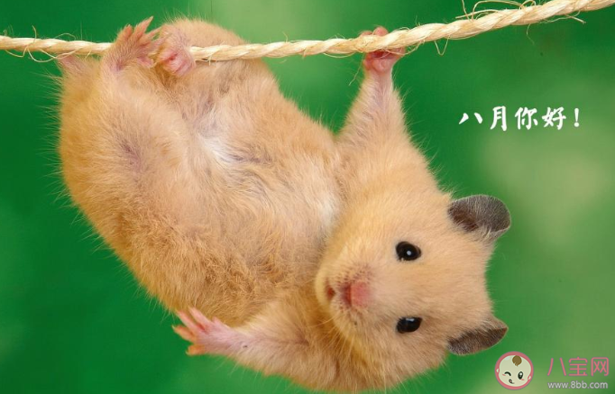 2020八月請對我好一點的心情句子 2020八月請善待我的心情說說