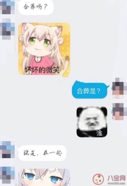 小姐姐合葬嗎是什么意思 小姐姐合葬嗎是什么梗