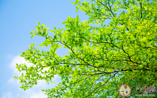 三伏天太熱了搞笑圖片說說 三伏天怎么發朋友圈句子