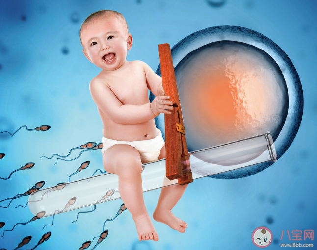 做一次試管嬰兒整個(gè)流程要多久 試管嬰兒的流程是怎樣