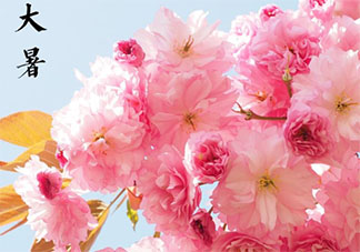 2020大暑節氣吃什么蔬菜 大暑節氣時令蔬菜有哪些