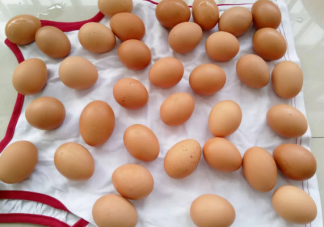 夏天雞蛋怎么樣能放時間長 雞蛋放冰箱要用袋裝嗎