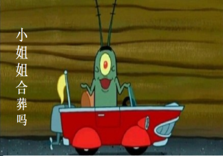 小姐姐合葬嗎是什么意思 小姐姐合葬嗎是什么梗