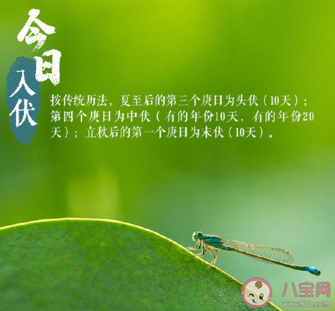 今日入伏早安句子帶圖片 入伏注意養生的問候語 今日入伏早安句子帶圖片 入伏注意養生的問候語