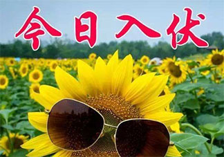 2020入伏第一天的朋友圈說說怎么發 2020入伏第一天的心情句子發朋友圈