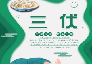 進入三伏天了的心情說說 入伏了發朋友圈感言句子