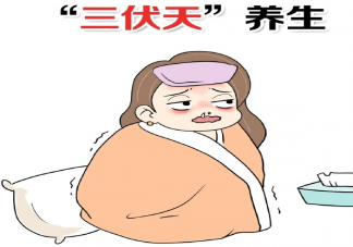 2020三伏天養生小細節 三伏天養生禁忌