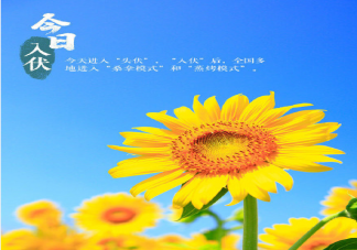 今日入伏早安朋友圈句子 今日入伏早安問候語說說圖片