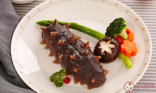 南方海參和北方海參有什么區別 怎么分辨南方海參和北方海參的不同