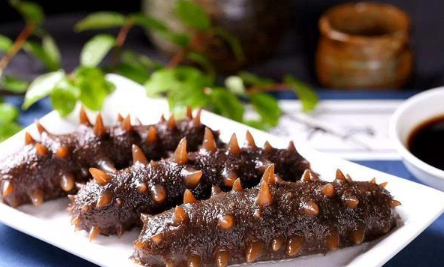 海參養殖放敵敵畏是真的嗎 海參養殖能放抗生素嗎