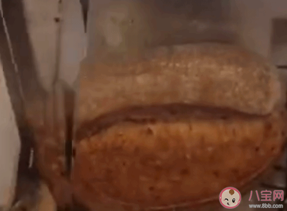 大列巴文學是什么意思 大列巴文學是什么梗