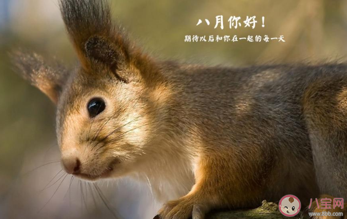 2020關于八月的圖片文案朋友圈心情句子 2020八月你好的圖片心情說說發朋友圈 2020關于八月的圖片文案朋友圈心情句子 2020八月你好的圖片心情說說發朋友圈