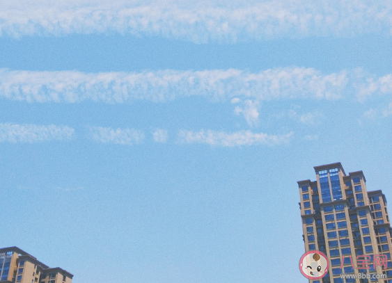 關(guān)于曬被子心情感言句子 出太陽(yáng)曬被子的朋友圈說(shuō)說(shuō)