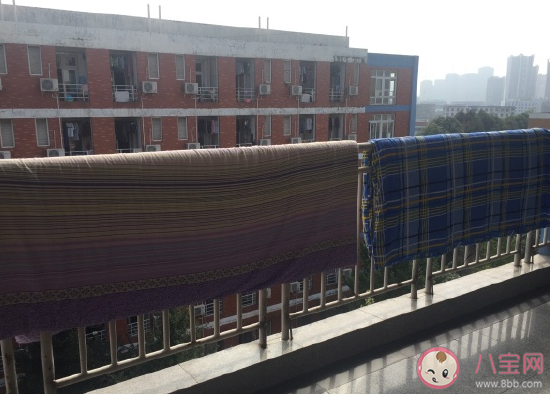 關(guān)于曬被子心情感言句子 出太陽(yáng)曬被子的朋友圈說(shuō)說(shuō)